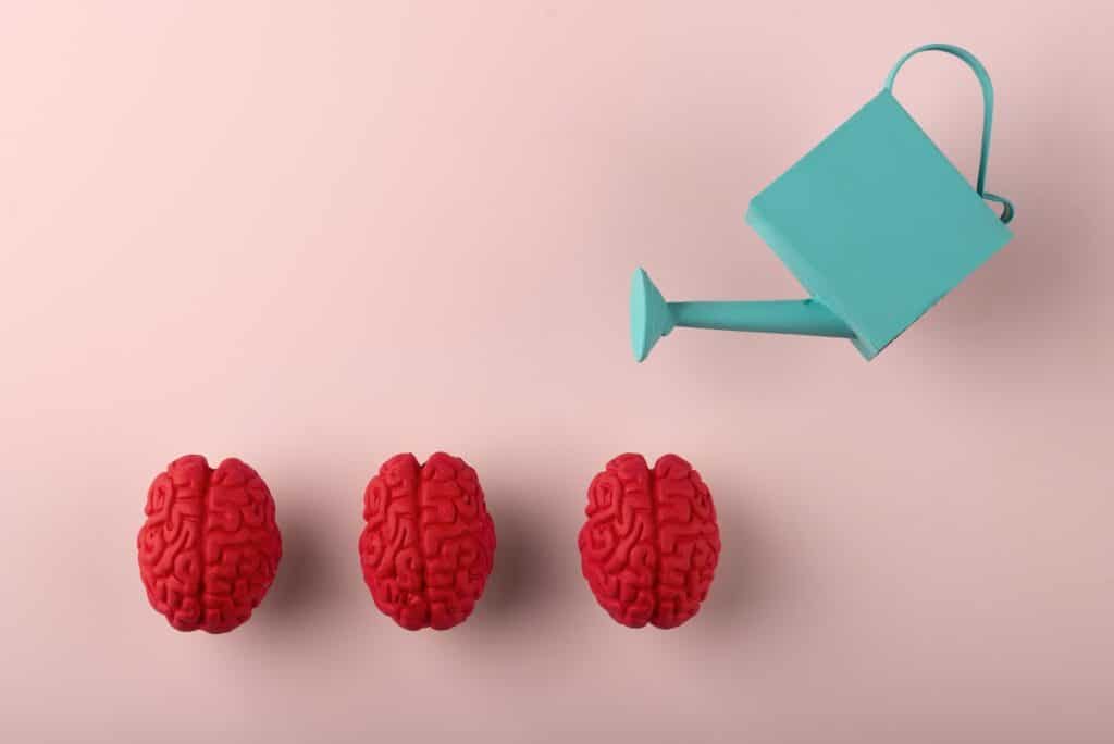 growth mindset: grafica di annaffiatoio che annaffia dei cervelli di gomma